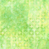 Geo Earth Batiks AMD-23423-46 Pear