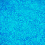 Azure Blue Jay A