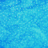Azure Blue Jay B