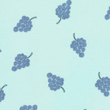 Fruit Cup Sky A