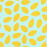 Fruit Cup Sky B
