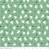 Frank and Friends by My Mind's Eye for Riley Blake Designs is gre