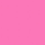 Spin CD5300-CARNATION Carnation