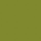 Spin CD5300-MOSS Moss
