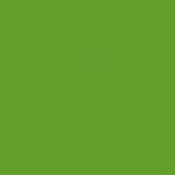 Spin CD5300-PARAKEET Parakeet