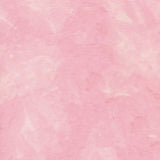 Precious Pinks Carnation
