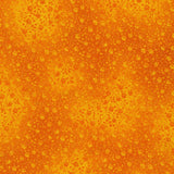 Fusions 4 Sunshine