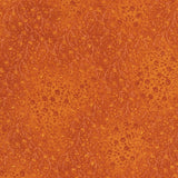 Fusions 4 Amber