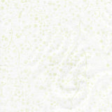 Neutrals Eggshell