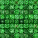 Dream Big Tiles V5254-31 Emerald