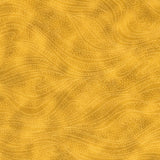 Color Movement Sunshine