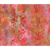 Garden of Dreams Coral B