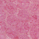 Petal Pathway Carnation