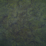Jingle and Jungle Seaweed