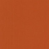Kona Cotton Solid Spice