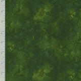 Solidish Forest