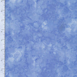Solidish Pansy