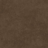 Shadow Play MAS513-A12 Cocoa Brown