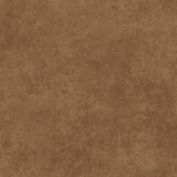 Shadow Play MAS513-A31 Mocha