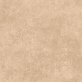 Shadow Play MAS513-AA Irish Cream