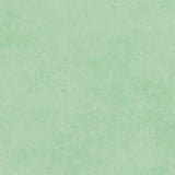 Shadow Play MAS513-GQW Foam Green