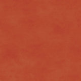 Shadow Play Barn Red