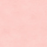 Shadow Play Powder Pink