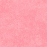 Shadow Play Pink Carnation