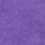 Shadow Play Violet Tulip