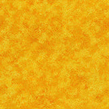 Meadow Sun