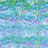 Jewel Basin Abstract Flower Fields Blooms