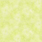 Sorbets Light Apple