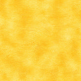Equipose Yellow