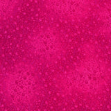 Fusions 4 Flamingo