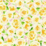 Rose Lemonade Honeysuckle