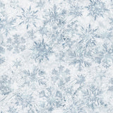Nature's Narratives Crystal