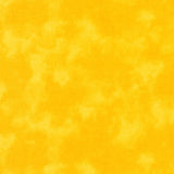 Cloud Cover School Bus