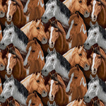 Packed horse heads in brown, white and gray.