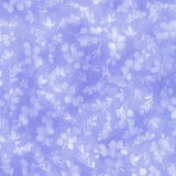 Fusions Hydrangea