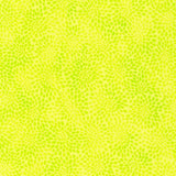Fusions Citrus