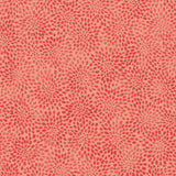 Fusions Coral