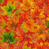 Shades of the Season 12 Terracotta A