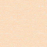 Moonscape Bellini