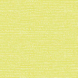 Moonscape Endive