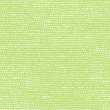 Moonscape Lime