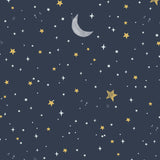 Night Sky Midnight