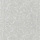 Alabaster Dove