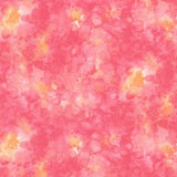 Solidish Fuchsia