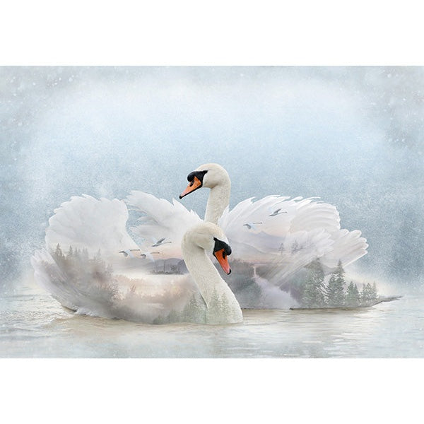 Two white swans with orange beaks swimming on a misty lake with soft blue-gray sky and distant trees in background.