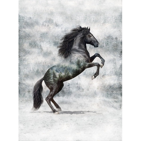 Dark horse rearing on hind legs with forest scenery digitally blended into its body against a cloudy gray background.